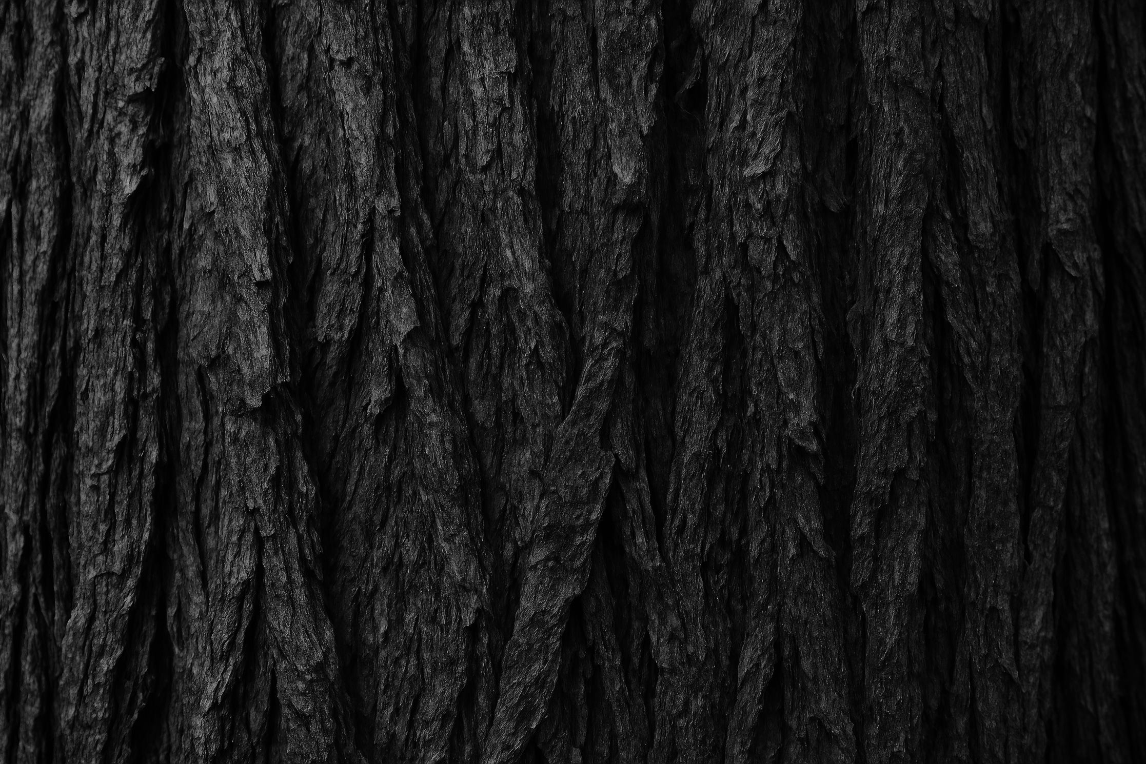 la gala home texture